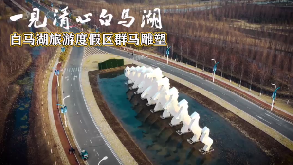 白马湖旅游度假区群马雕塑