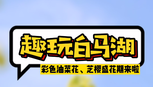 趣玩白马湖，彩色油菜花、芝樱盛花期来了