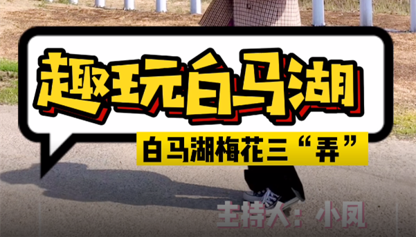 趣玩白马湖，白马湖梅花三“弄”