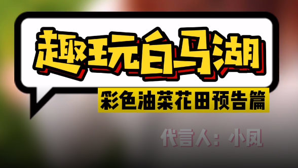 趣玩白马湖，彩色油菜花田预告篇
