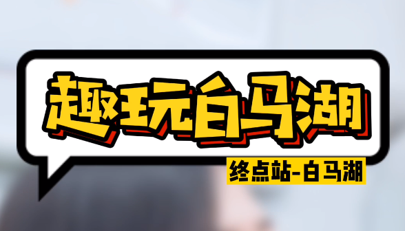 趣玩白马湖，终点站白马湖