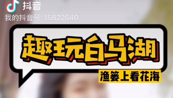趣玩白马湖，渔篓上看花海