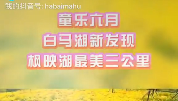 童乐六月，白马湖新发现，枫映湖最美三公里