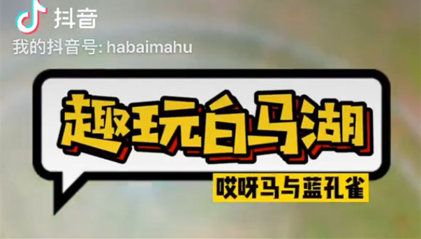 趣玩白马湖，哎呀马与蓝孔雀