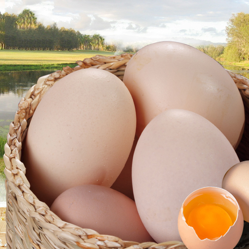 土鸡蛋苏北农家生态散养新鲜草鸡蛋孕妇柴鸡蛋初生笨鸡蛋礼盒45枚