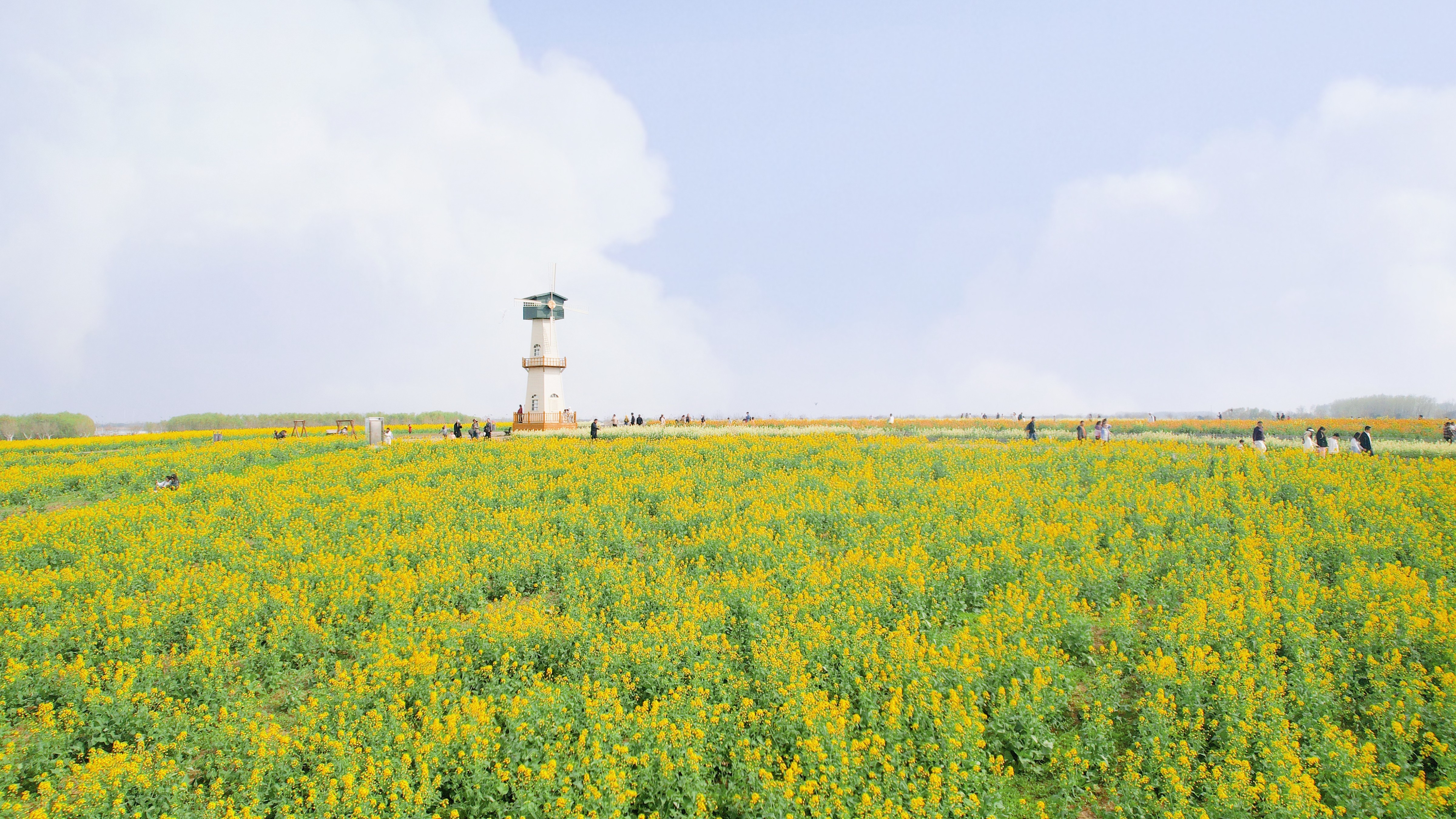 4月21日“淮马”开跑！白马湖旅游度假区陪你一起奔跑不息~