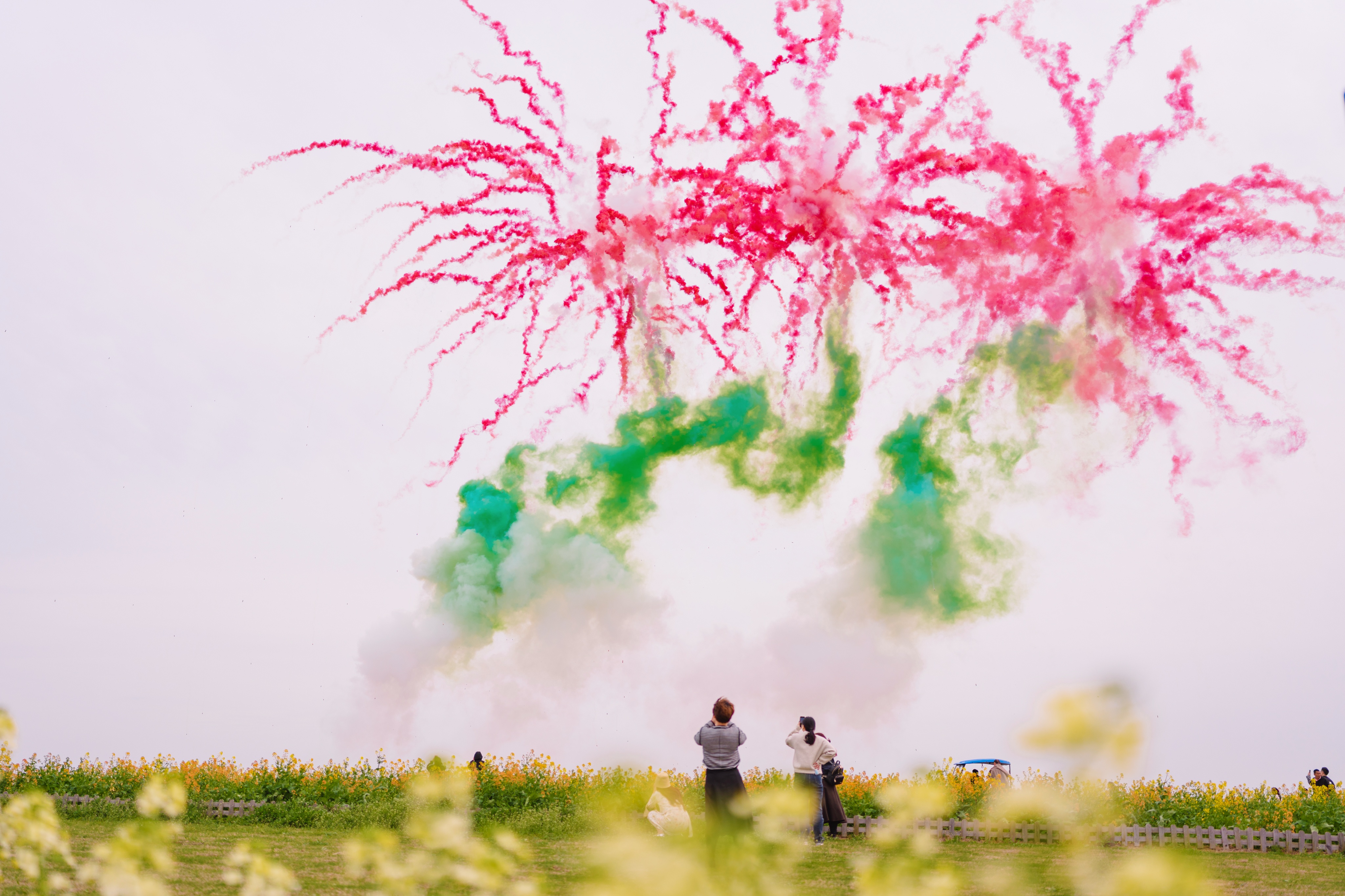 春游季！淮安白马湖巨型粉色火山白日焰火秀，4月4日起门票全城免费送！
