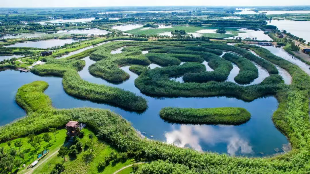 走！跟着央视打卡白马湖春景！