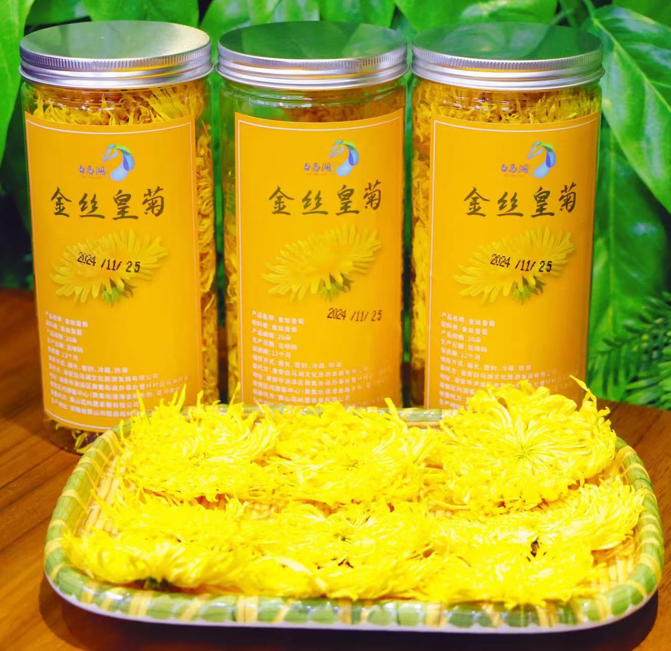 白马湖金丝皇菊
