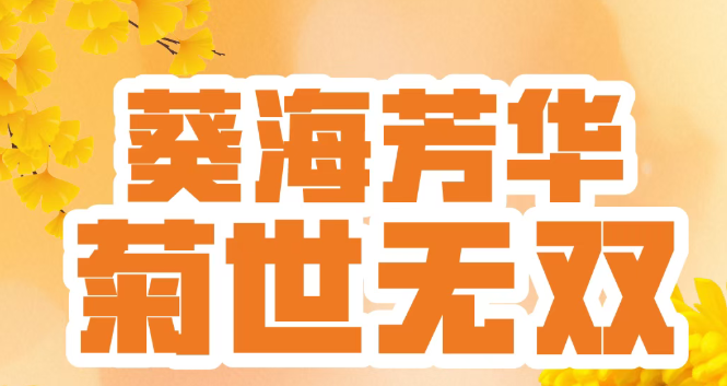 2025淮安白马湖菊花展十周年影像征集活动开启，邀你共忆流光岁月