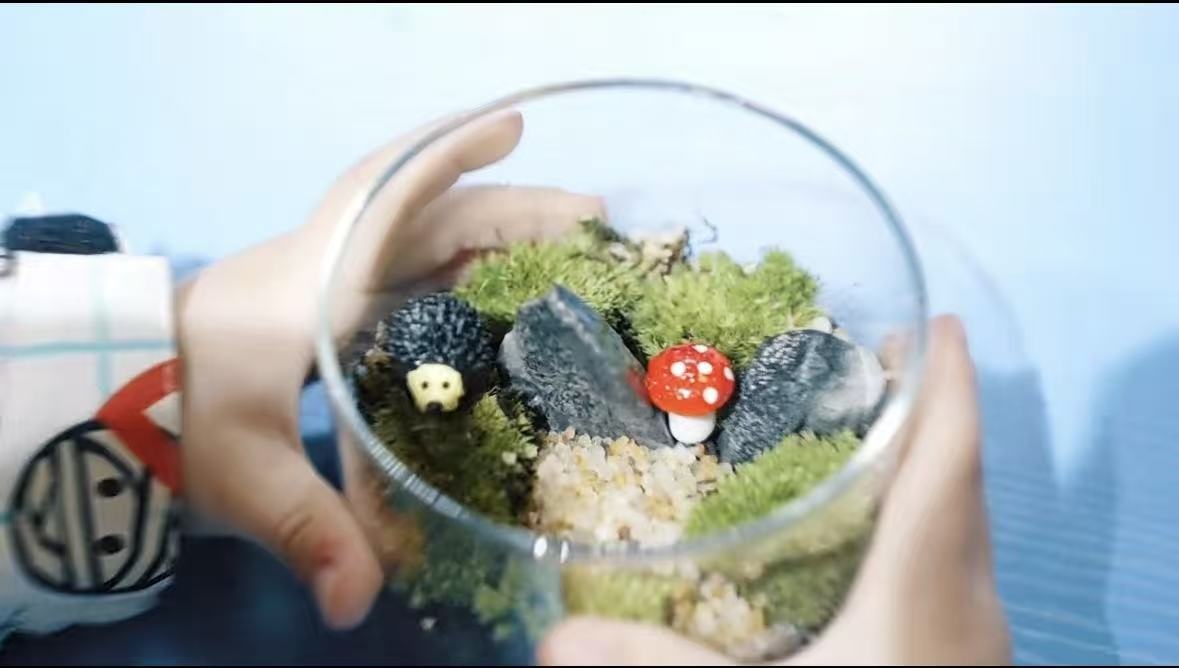 “湿地冬踪·仿生奇遇”，白马湖冬令营招募啦！