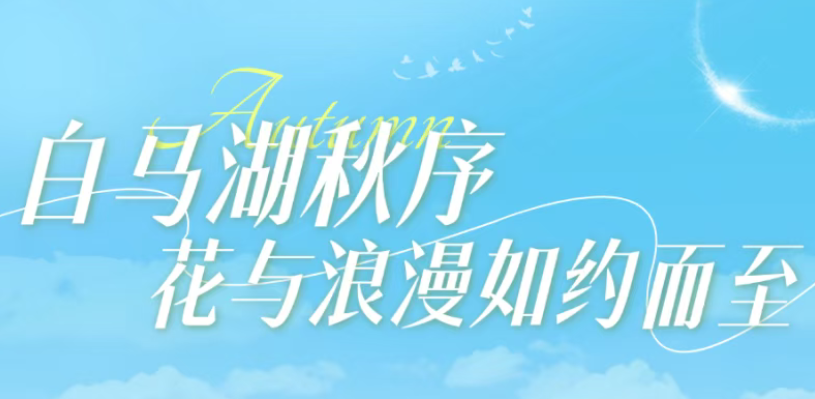 白马湖的秋天有点好逛